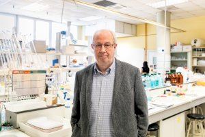 El catedrático e investigador de la UPV Ramón Martínez Máñez, Premio Nacional de Investigación 2024 El catedrático e investigador de la UPV Ramón Martínez Máñez, Premio Nacional de Investigación 2024