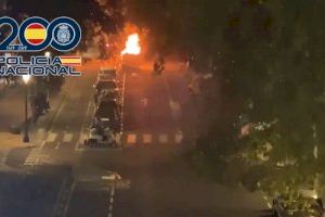 VIDEO | Un detingut i 7 persones identificades pels altercats després del València-Las Palmas a Mestalla VIDEO | Un detingut i 7 persones identificades pels altercats després del València-Las Palmas a Mestalla