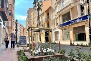 Más de 300 comercios de Castellón piden las ayudas por las obras de la ZBE y estudian ampliar el plazo de solicitudes