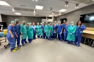 La Universitat Jaume I reúne a profesionales de la salud de toda España en un innovador curso de anatomía circular