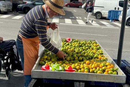 El Mercat de la Taronja ofrece todos los domingos cítricos de calidad en Almassora El Mercat de la Taronja ofrece todos los domingos cítricos de calidad en Almassora