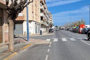 Obres i Serveis poda els arbres de l’avinguda de Leopold Querol