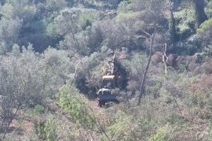 El Ayuntamiento de Xàbia inicia la primera fase de trabajos de clareo forestal - (foto 2)