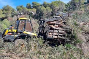 El Ayuntamiento de Xàbia inicia la primera fase de trabajos de clareo forestal - (foto 3)