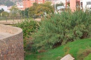 Bomba de temps: els rius de la Vall d'Uixó amenacen amb noves inundacions si no s'actua ja