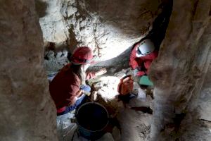 Hallazgo histórico en un pueblo de Castellón: el paleolítico deja huella en una cueva - (foto 3)