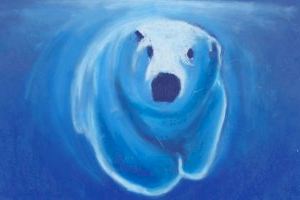 El Festival de Internacional de Cine y Ecología de la UA une arte y ciencia para enfrentar los desafíos ambientales - (foto 3) El Festival de Internacional de Cine y Ecología de la UA une arte y ciencia para enfrentar los desafíos ambientales - (foto 3)