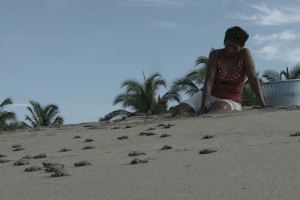 El Festival de Internacional de Cine y Ecología de la UA une arte y ciencia para enfrentar los desafíos ambientales - (foto 5) El Festival de Internacional de Cine y Ecología de la UA une arte y ciencia para enfrentar los desafíos ambientales - (foto 5)