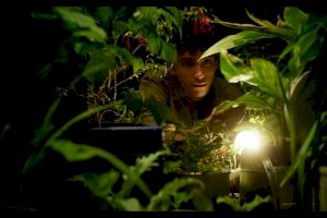 El Festival de Internacional de Cine y Ecología de la UA une arte y ciencia para enfrentar los desafíos ambientales - (foto 6) El Festival de Internacional de Cine y Ecología de la UA une arte y ciencia para enfrentar los desafíos ambientales - (foto 6)