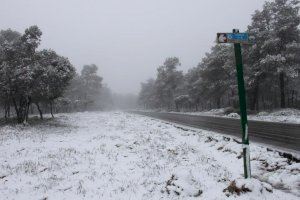 Un flux marítim permetrà l'arribada de la pluja i alguns flocs: On pot nevar i en quines cotes?