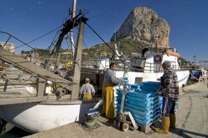 El pleno de Calp solicitará a la UE que desista en la propuesta que reduce los días de pesca - (foto 2)