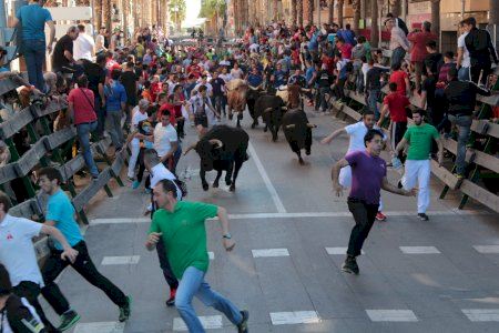 El encierro más esperado: Vila-real anuncia su ganadería estrella para Sant Pasqual 2025