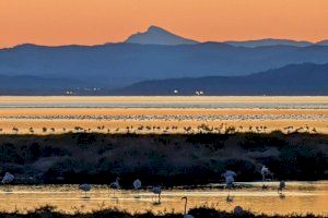 La impressionant foto del capvespre en el Delta de l'Ebre que mostra Penyagolosa a més de 100 km de distància