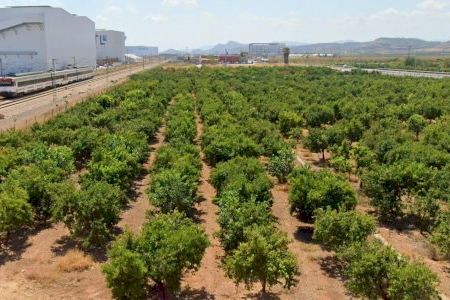 Denuncien crides, pressions i visites per a forçar la cessió de terrenys per a una macroplanta solar a Castelló
