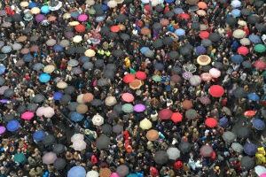 Es confirma la pèssima notícia que el món de les Falles i la Magdalena presagiaven: les pluges al març estan canviant