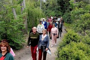 Burriana celebra el cierre de la Semana de la Salud con la Marcha Saludable - (foto 2)