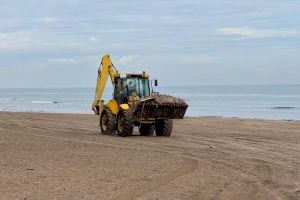 El Ayuntamiento de Sueca continúa con los trabajos de limpieza de sus playas, muy afectadas por la DANA