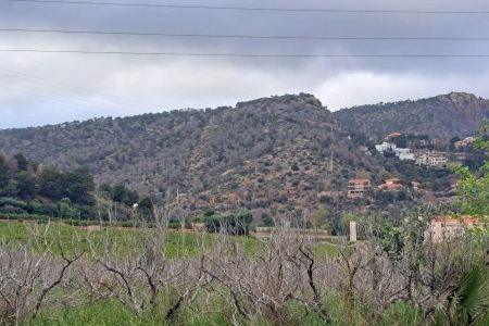 Un pulmó verd valencià s'apaga: devastació forestal en una coneguda muntanya malgrat les pluges