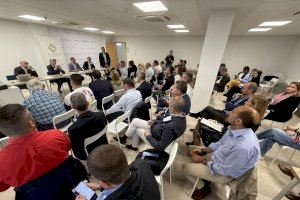 Empresarios de Riba-roja conocen de primera mano las ayudas del Plan Ara Empreses para afrontar los daños de la DANA - (foto 3)
