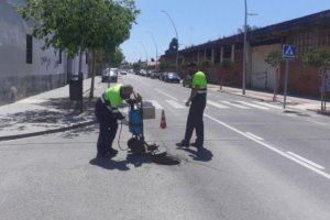 Almassora realiza trabajos contra las plagas urbanas en el alcantarillado público
