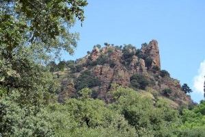 La humitat pren els boscos valencians i rebaixa el risc d'incendi "però no cal baixar la guàrdia"