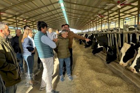 Agricultura reducirá el 50 % de la carga burocrática a los ganaderos de la Comunitat Valenciana