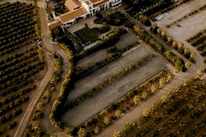 Ricardo Belda, nou director gerent del Consell Agrari Municipal de València