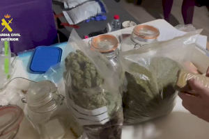 Desmantelan un “narco imperio” camuflado como clubes de cannabis en la Vega Baja