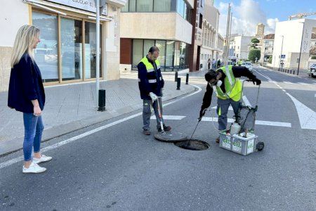 La Nucía inicia la campaña de desinsectación de cucarachas