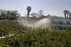 Castelló intensifica el control de mosquits en zones de risc després de les pluges