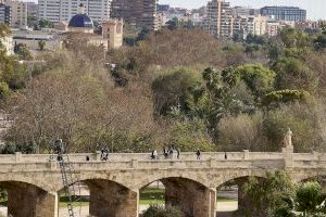 L'Ajuntament adjudica l'execució d'un projecte pilot de biodiversitat urbana per a renaturalitzar València