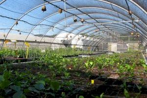 El Centro para la Investigación y Experimentación Forestal celebra el 20 aniversario como referente en el ámbito forestal