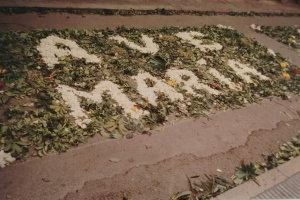 25 años después: las imágenes de las calles engalanadas que emocionan a Nules a pocos días del aniversario de la Coronación de su patrona - (foto 4)
