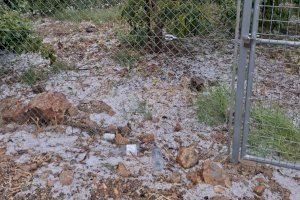 Cajamar activa 10 millones en ayudas urgentes para los agricultores afectados por el pedrisco en Castellón