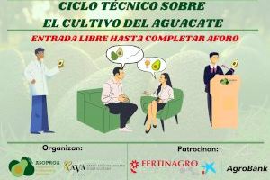 AVA-ASAJA y ASOPROA inician un ciclo de jornadas del aguacate en la C. Valenciana