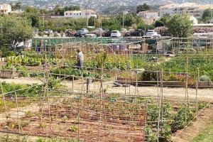S'obri el període de sol·licitud dels horts urbans vacants en Altea