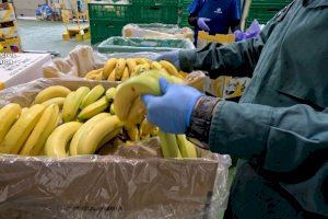 Inspecciones rutinarias que realiza el Seprona en su lucha contra el fraude alimentario.