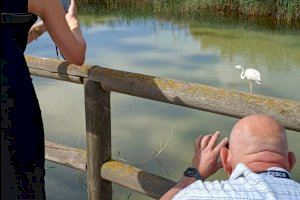 Elche celebra un Fam trip con agencias organizadoras de eventos de Países Bajos