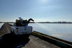 Arrozales y marjales, bajo vigilancia tras detectarse larvas de mosquito en el sur de Castellón