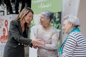 Sombra y juegos infantiles: Castellón vota qué quiere para el nuevo Censal Parc