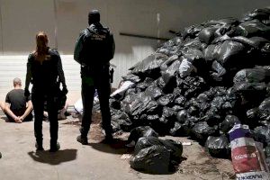 VÍDEO | Golpe contra la droga: Hallan casi 20.000 plantas de marihuana en naves de Castellón y Vila-real