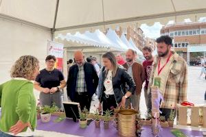 Empleo en la Vall d'Uixó: una feria presenta los trabajos con más futuro