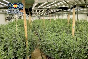 Una macroplantación indoor en una nave de Orihuela causa cortes de luz en el vecindario