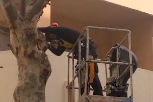 Calp licita el servicio de poda para los próximos cuatro años por 612.040 € Calp licita el servicio de poda para los próximos cuatro años por 612.040 €
