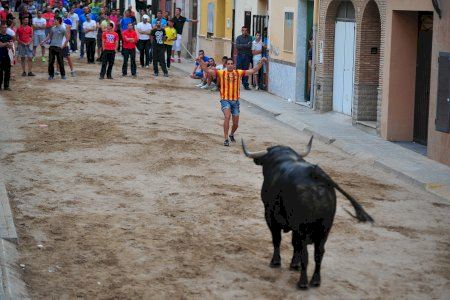 ¿Dónde ver toros este fin de semana en la Comunitat Valenciana? Todos los actos del 16 al 18 de mayo