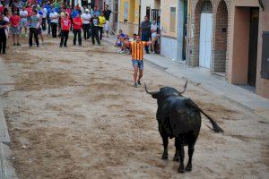 ¿Dónde ver toros este fin de semana en la Comunitat Valenciana? Todos los actos del 16 al 18 de mayo