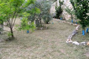 El Ayuntamiento de Alcoy continúa con las tareas de desbroce y mantenimiento en solares y espacios urbanos