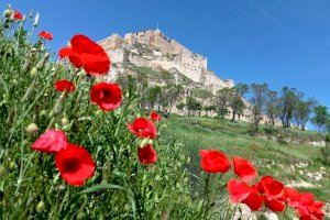 Sin sobresaltos y con ascenso térmico: así empieza un fin de semana radiante en gran parte de la Comunitat Valenciana