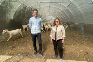 La FEMP reconeix amb el segon premi el «Ramat de Foc» de Gandia