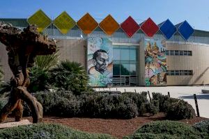 La UMH organiza una jornada de actividad física inclusiva para promover el bienestar y la integración social